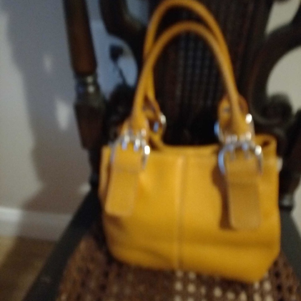 Small Mustard Tignanello Bag